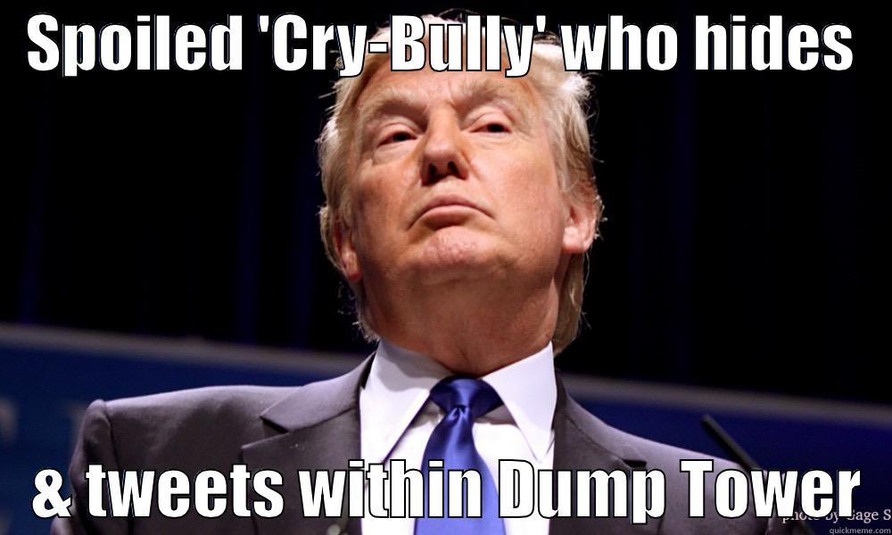   SPOILED 'CRY-BULLY' WHO HIDES       & TWEETS WITHIN DUMP TOWER  Misc