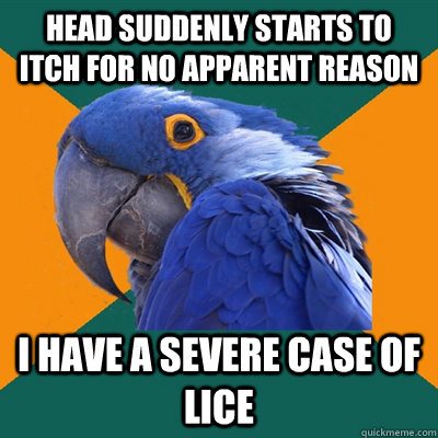head suddenly starts to itch for no apparent reason i have a severe case of lice  Paranoid Parrot