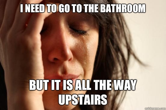 I need to go to the bathroom But it is all the way upstairs  First World Problems