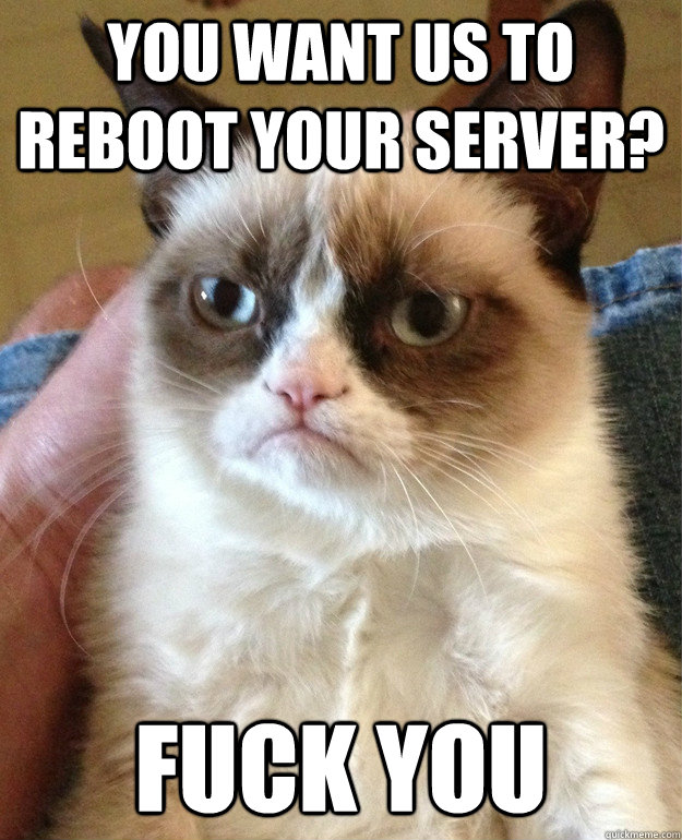You want us to reboot your server? Fuck you  Grumpy Cat