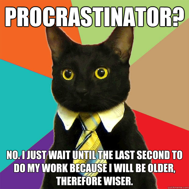 Procrastinator? No. I just wait until the last second to do my work because I will be older, therefore wiser.
 - Procrastinator? No. I just wait until the last second to do my work because I will be older, therefore wiser.
  Business Cat