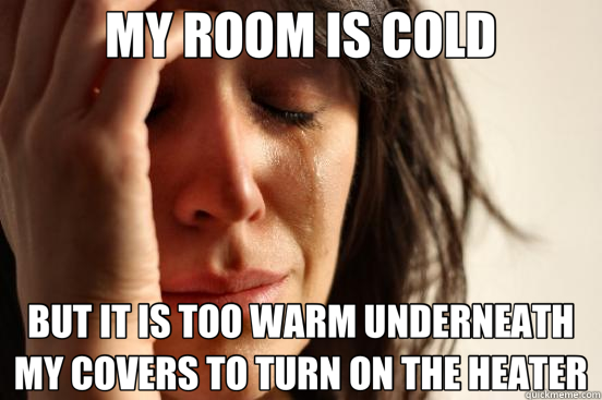MY ROOM IS COLD BUT IT IS TOO WARM UNDERNEATH MY COVERS TO TURN ON THE HEATER  First World Problems