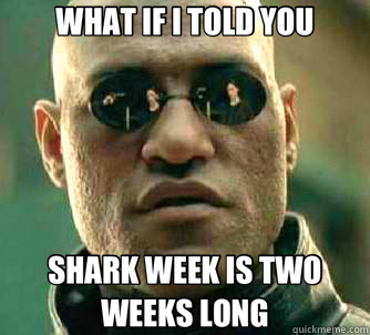 WHAT IF I TOLD YOU SHARK WEEK IS TWO WEEKS LONG  Matrix Morpheus