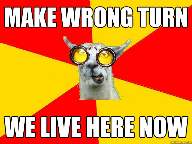 make wrong turn we live here now  Learner Driver Llama