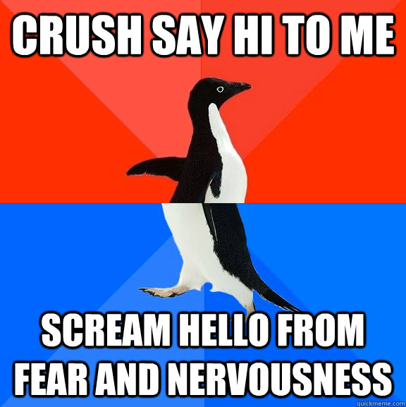 Crush say hi to me Scream hello from fear and nervousness  Socially Awesome Awkward Penguin