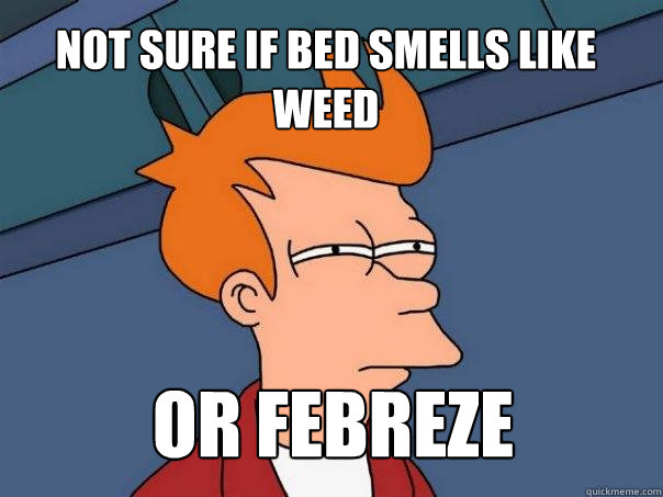 Not sure if bed smells like weed or febreze  Futurama Fry