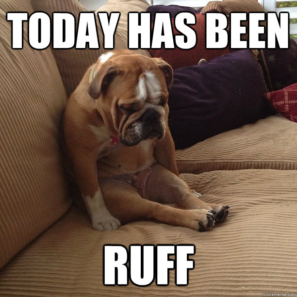 today has been Ruff  depressed dog