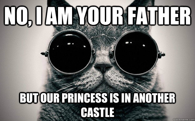 no, i am your father but our princess is in another castle  Morpheus Cat Facts