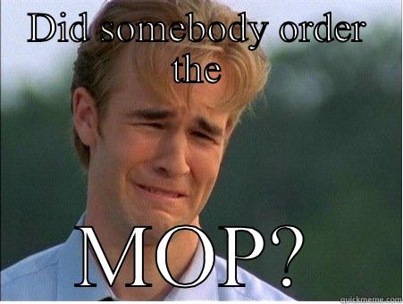 DID SOMEBODY ORDER THE MOP? 1990s Problems