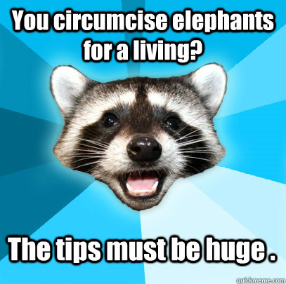 You circumcise elephants for a living? The tips must be huge .  Lame Pun Coon