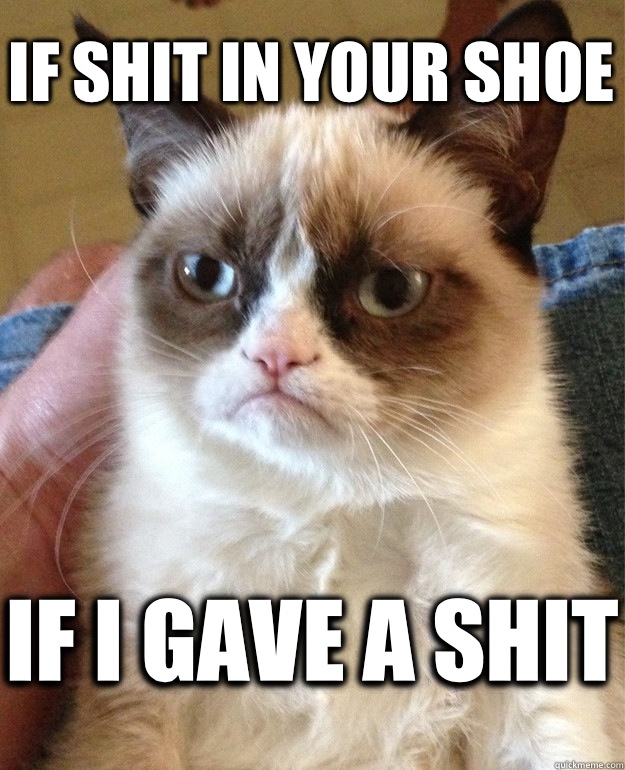 If shit in your shoe If I gave a shit  Grumpy Cat