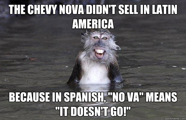because you are in spanish because you are in spanish