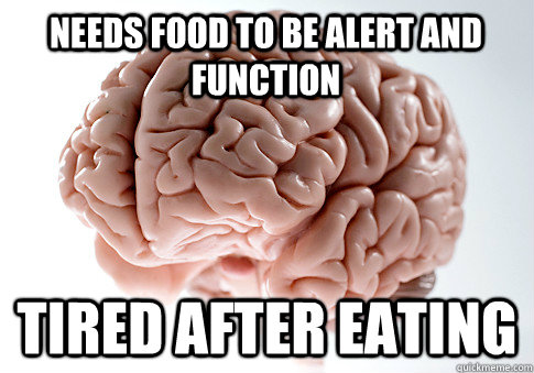 Needs food to be alert and function Tired after eating  Scumbag Brain