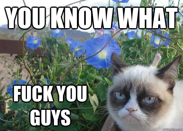 You know what fuck you guys - You know what fuck you guys  Cheer up grumpy cat