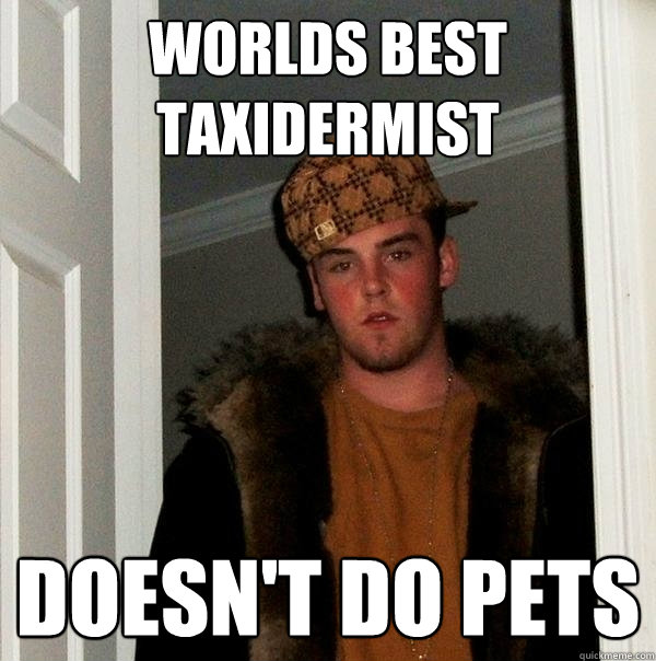 Worlds best Taxidermist Doesn't do pets  Scumbag Steve