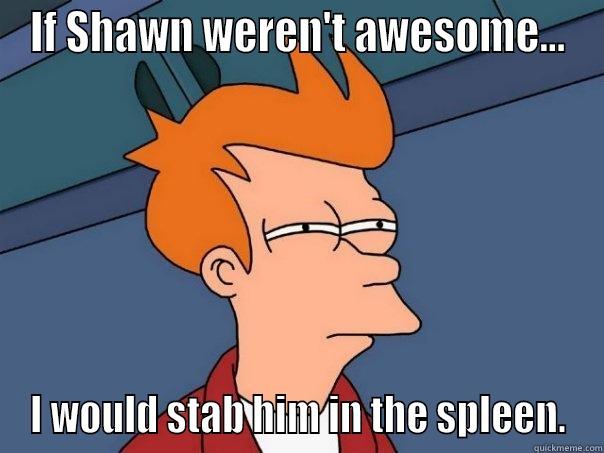 IF SHAWN WEREN'T AWESOME... I WOULD STAB HIM IN THE SPLEEN. Futurama Fry