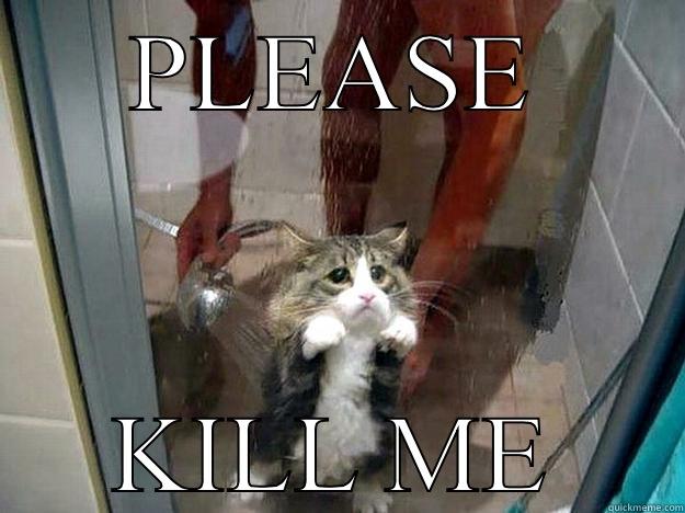 kill me - PLEASE KILL ME Shower kitty