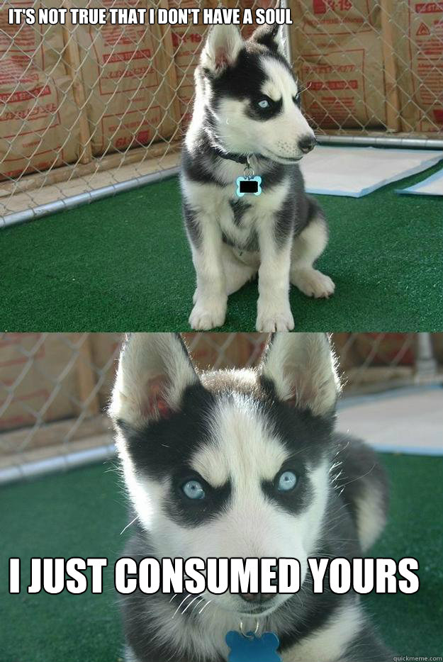 It's not true that i don't have a soul i just consumed yours  Insanity puppy