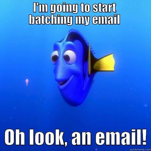            I'M GOING TO START            BATCHING MY EMAIL   OH LOOK, AN EMAIL! dory