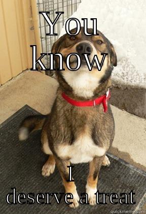 YOU KNOW I DESERVE A TREAT Good Dog Greg