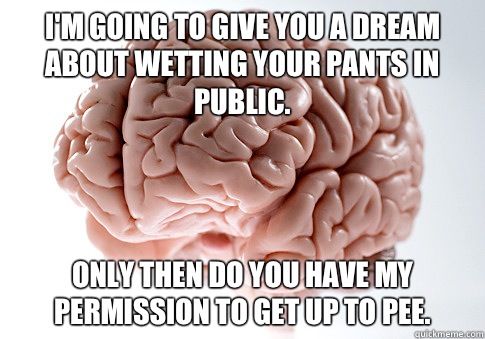 I'm going to give you a dream about wetting your pants in public.  Only then do you have my permission to get up to pee.  - I'm going to give you a dream about wetting your pants in public.  Only then do you have my permission to get up to pee.   Scumbag Brain