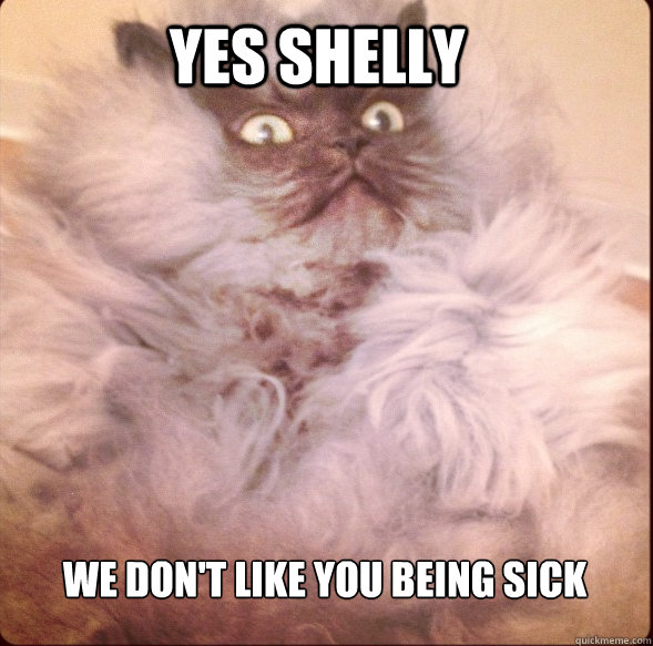 Yes Shelly We don't like you being sick - Yes Shelly We don't like you being sick  Colonel Meow