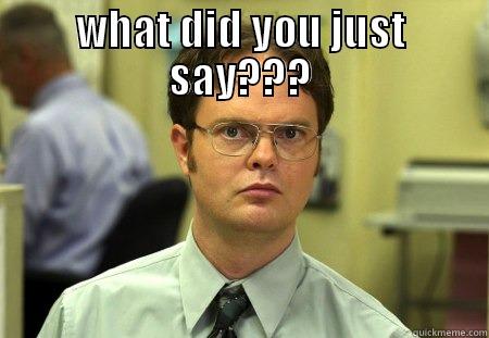 WHAT DID YOU JUST SAY???  Schrute