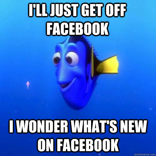 I'll just get off facebook I wonder what's new on facebook  dory