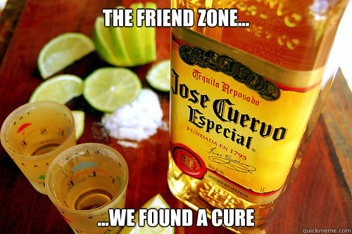 The friend zone... ...we found a cure  Friend Zone