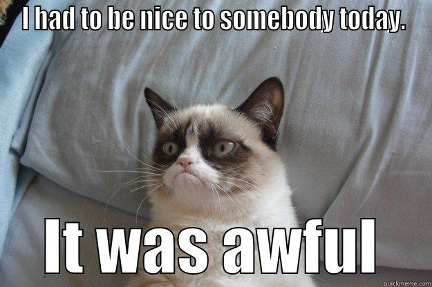 I had to be nice to somebody today - I HAD TO BE NICE TO SOMEBODY TODAY. IT WAS AWFUL Grumpy Cat