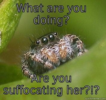 What are you doing - WHAT ARE YOU DOING? ARE YOU SUFFOCATING HER?!? Misunderstood Spider