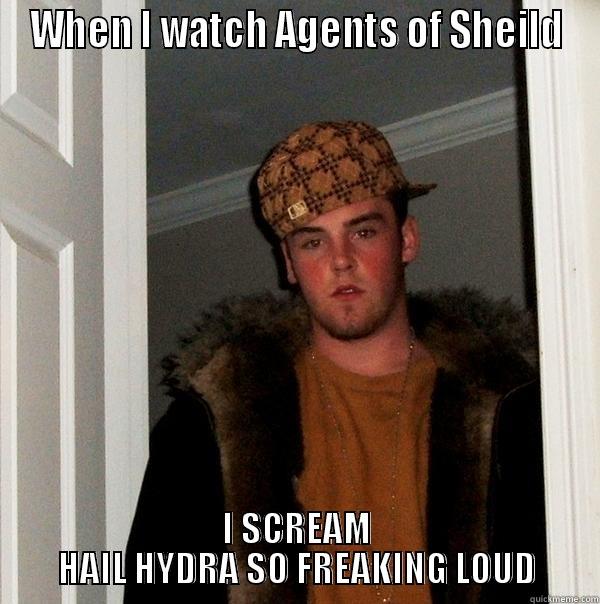 WHEN I WATCH AGENTS OF SHEILD I SCREAM HAIL HYDRA SO FREAKING LOUD Scumbag Steve