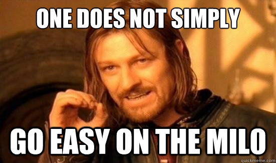 One Does Not Simply Go easy on the mil0  Boromir