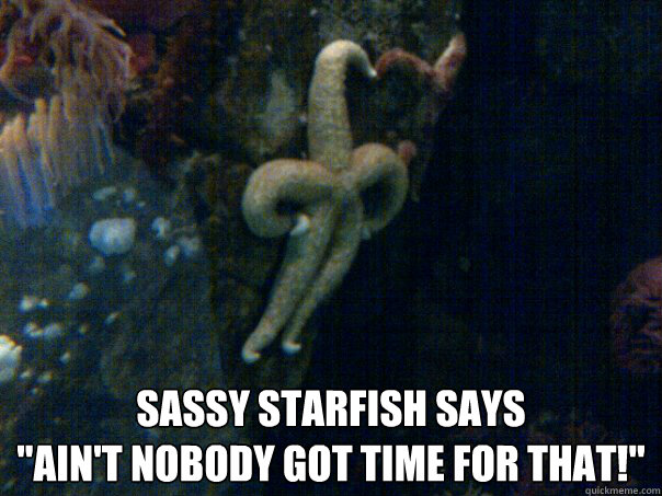  sassy starfish says
