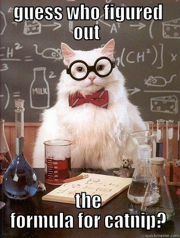 GUESS WHO FIGURED OUT  THE FORMULA FOR CATNIP? Chemistry Cat