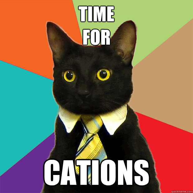 Time 
For CATions  Business Cat