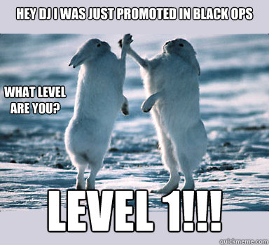 hey dj i was just promoted in black ops Level 1!!! what level
are you?  Bunny Bros