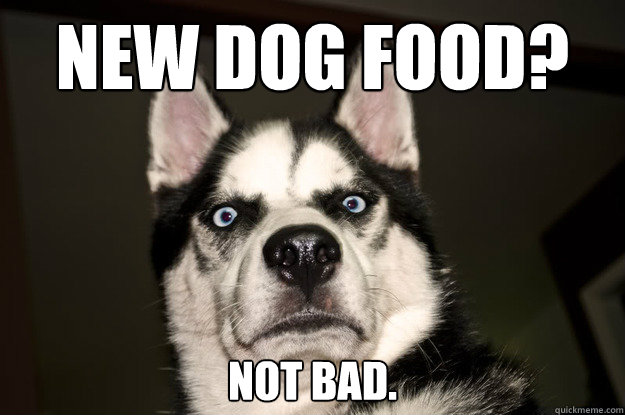 new dog food? not bad.  