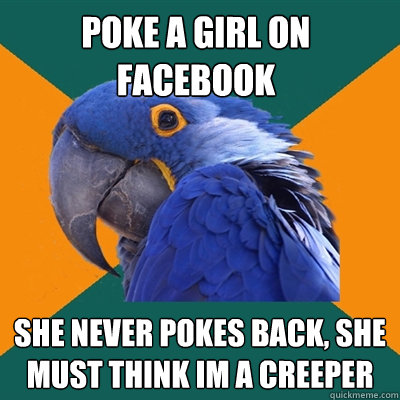 Poke a girl on facebook She never pokes back, she must think im a creeper  Paranoid Parrot