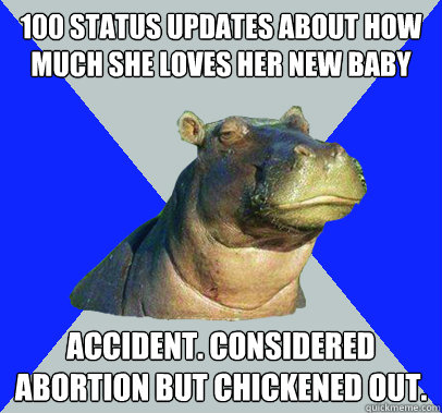 100 status updates about how much she loves her new baby Accident. Considered abortion but chickened out.  Skeptical Hippo