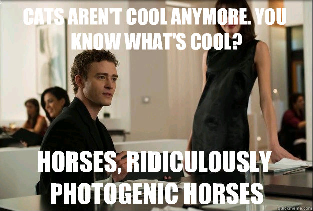 Cats aren't cool anymore. You know what's cool? Horses, ridiculously photogenic horses  justin timberlake the social network scene