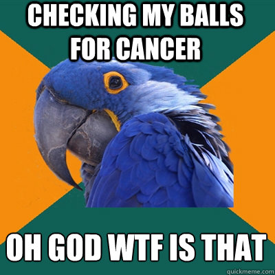 Checking my balls for cancer OH GOD WTF IS THAT  Paranoid Parrot