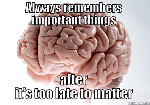 ALWAYS REMEMBERS IMPORTANT THINGS AFTER IT'S TOO LATE TO MATTER Scumbag Brain