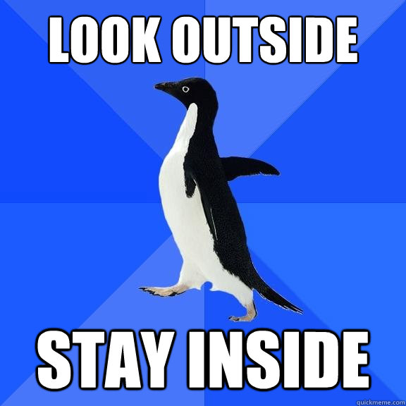 look outside stay inside  Socially Awkward Penguin