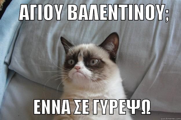      AΓΙΟΥ ΒΑΛΕΝΤΙΝΟΥ;               ENNA ΣΕ ΓΥΡΕΨΩ         Grumpy Cat