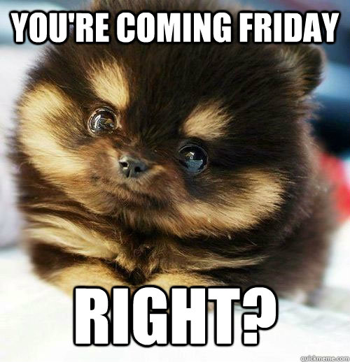 You're coming Friday Right? - You're coming Friday Right?  Brainlessly Cute