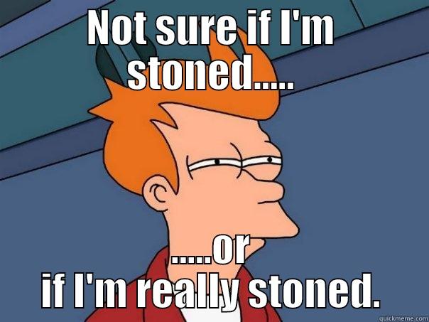 NOT SURE IF I'M STONED..... .....OR IF I'M REALLY STONED. Futurama Fry