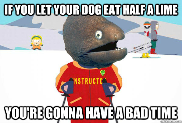 If you let your dog eat half a lime you're gonna have a bad time - If you let your dog eat half a lime you're gonna have a bad time  Bad Joke Ski Instructor