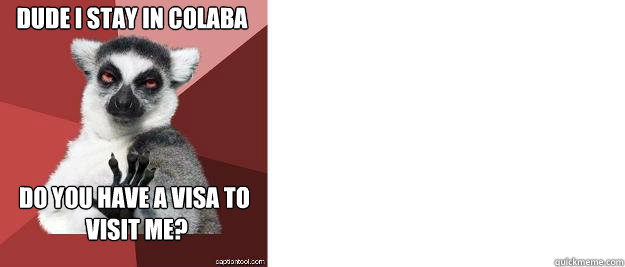 DUDE I STAY IN COLABA DO YOU HAVE A VISA TO
 VISIT ME? - DUDE I STAY IN COLABA DO YOU HAVE A VISA TO
 VISIT ME?  Chilled out lemur