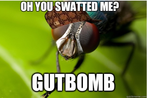 Oh you swatted me? Gutbomb  Scumbag Fly